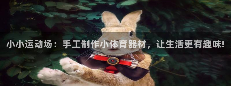 星欧娱乐官网首页入口：小小运动场：手工制作小体育器材，让生活